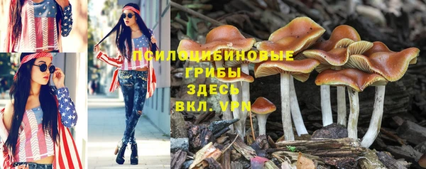 спиды Алзамай