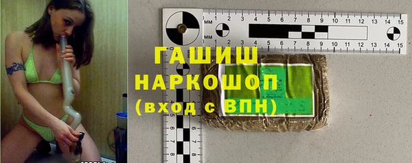 индика Кинешма