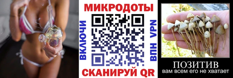 Галлюциногенные грибы прущие грибы закладка Енисейск
